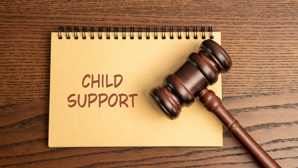 professional Los Angeles child custody attorney